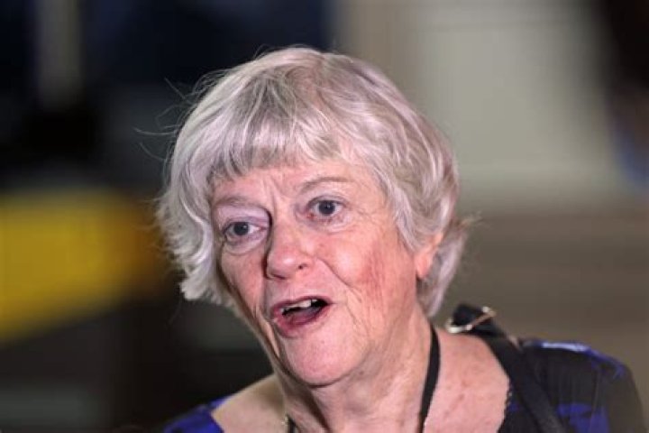 Unveiling Ann Widdecombe Young: A Political Enigma